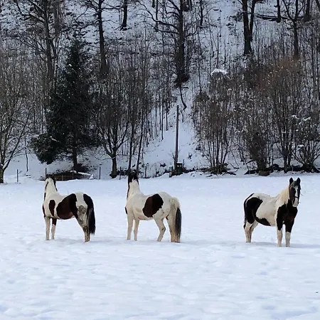 Appartamento Il Bosco - Vicino Al Lago, Vicino Alle Montagne Ballabio
